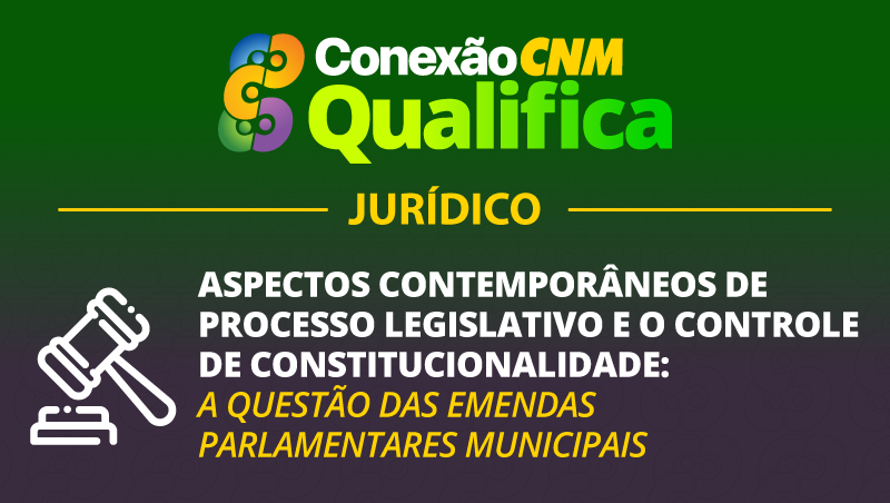 Aspectos contemporâneos de Processo legislativo e o controle de constitucionalidade: a questão das emendas parlamentares municipais - Edição Ijuí/RS