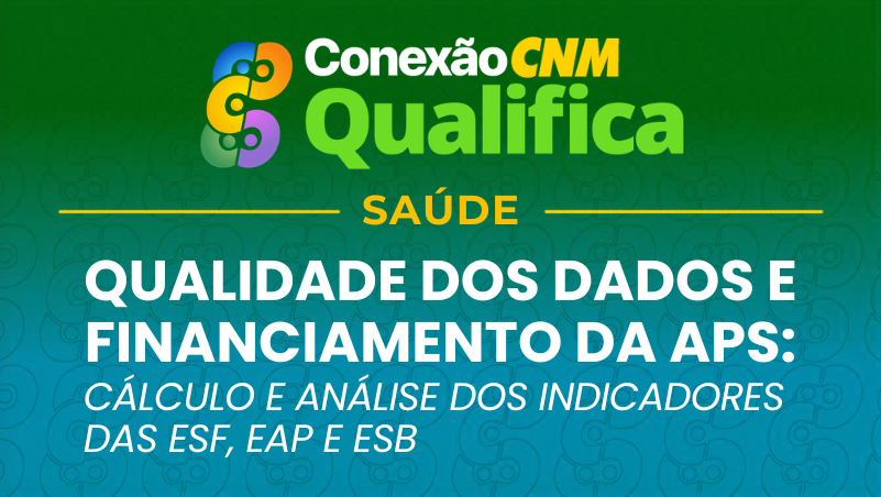 Qualidade dos dados e financiamento da APS: cálculo e análise dos indicadores das eSF, eAP e eSB - Edição Bauru/SP
