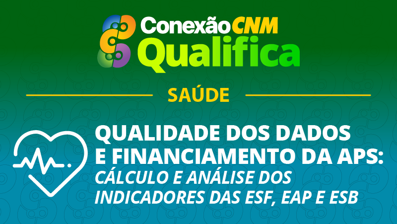 Qualidade dos dados e financiamento da APS: cálculo e análise dos indicadores das eSF, eAP e eSB - Edição Juiz de Fora/MG