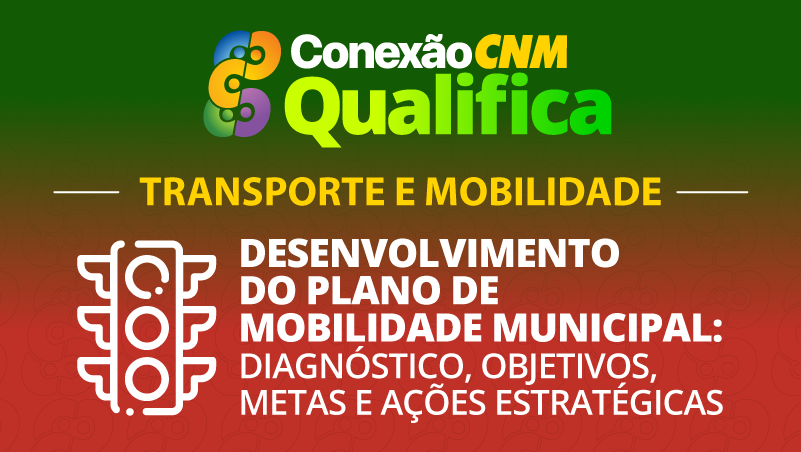 Desenvolvimento do Plano de Mobilidade Municipal: Diagnóstico, objetivos, metas e ações estratégicas - Edição Palmas/TO